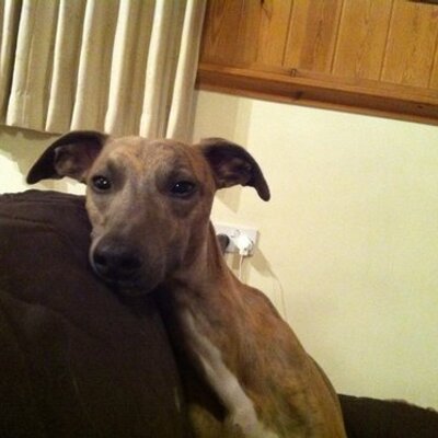 Profile Picture of Jess Telford (@jumtel) on Twitter