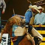 Profile Picture of Noel Perry (@perrynoel) on Instagram