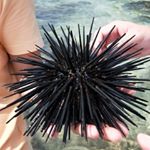 Profile Picture of 阮淮澄 (@zxccvv_bb) on Instagram