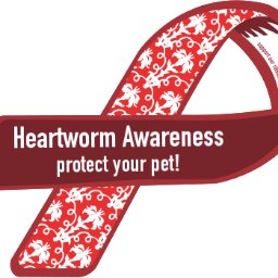 Profile Picture of Amanda Hoffpauir (@alvinvets) on Twitter