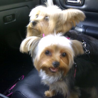 Profile Picture of MICHAEL GARVIN (@GARVS07) on Twitter