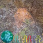 Profile Picture of Catherine Parisi (@catherine.parisi.5) on Facebook
