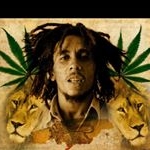 Profile Picture of Bob Marlin (@bobmarlin909) on Instagram