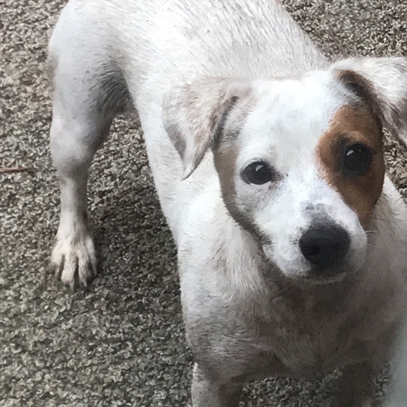 Profile Picture of Skylar Smith (@skybaby0821) on Poshmark