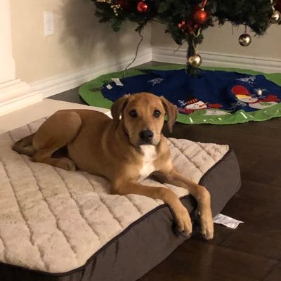 Profile Picture of Brad Beason (@beason_brad) on Twitter