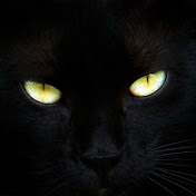 Profile Picture of Brian Farmer (@brianfarmer6253) on Youtube