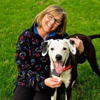 Profile Picture of Dawn Bloch (@dawn-bloch) on Quora