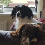 Profile Picture of Laurie Hookway (@lauriehookway) on Instagram