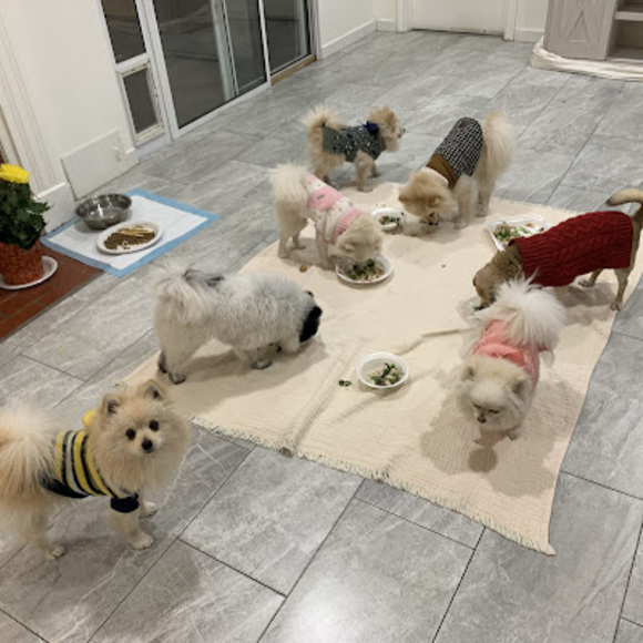 Profile Picture of Victor Vu (@vuvictor578) on Poshmark