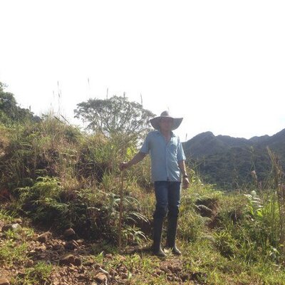 Profile Picture of Albert Celis (@celis1986) on Twitter