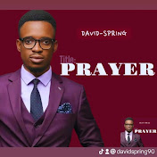 Profile Picture of David Spring (@davidspring910) on Youtube