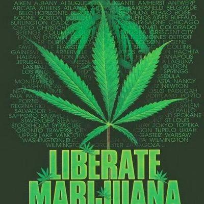 Profile Picture of David Piva (@piva06) on Twitter