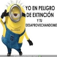 Peña  Lisbeth - Twitter Profile Picture of Peña  Lisbeth (@lisbethpena1351) on Twitter