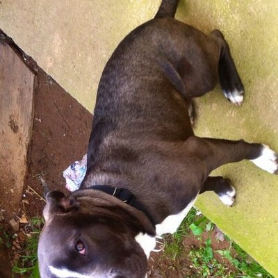 Profile Picture of Jeremy Redden (@jwredden) on Twitter