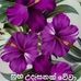Profile Picture of Marshall Fernando (@marshall.fernando.3954) on Facebook