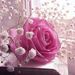 Profile Picture of Maria Jose Clemente duarte (@dudamaricd) on Pinterest