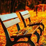 Profile Picture of Eva Mahmoud (@mahmoudeva) on Instagram
