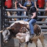 Profile Picture of David Pildes (@pildesdavid) on Instagram