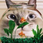 Chloe Hering - Instagram Profile Picture of Chloe Hering (@cleo_kitty57) on Instagram