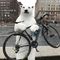 Profile Picture of Joe Pallotto (@joe.pallotto) on Facebook