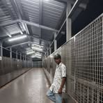 Profile Picture of JA Baccha (@JA-Baccha) on Facebook