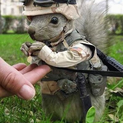 Profile Picture of Hayden Parsons (@hayden_p14) on Twitter