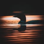 Profile Picture of Judie Rheinschmidt (@judie.rheinschmidt) on Facebook