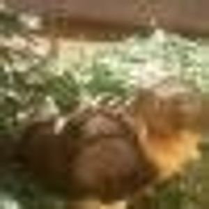 Profile Picture of Emad Eddine (@392964720) on Myspace