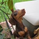 Profile Picture of Terry Grimball (@tgrimba) on Pinterest