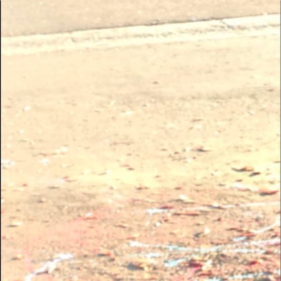 Profile Picture of Casey Luna (@peachfuzz2000) on Poshmark