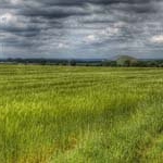 Profile Picture of WesleyDyer (@wesleydyerq) on Instagram