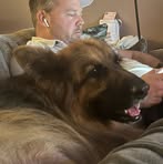 Profile Picture of David Lindblad Arvidsson (@david.lindblad.33) on Facebook