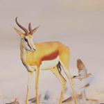 Profile Picture of Umer Farooq (@umerfarooq5184) on Instagram