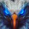 Profile Picture of Eddie Warf (@eddie.warf.90) on Facebook