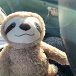 Profile Picture of Larry The Sloth (@larry.thesloth_and_friends) on Instagram