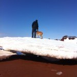 Profile Picture of Mike Coffin (@mikerscoffin) on Instagram