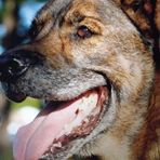 Profile Picture of Robert Billock (@Robert-Billock) on Facebook