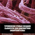 Profile Picture of Marshan Pelzer (@marshanpelzer) on Instagram