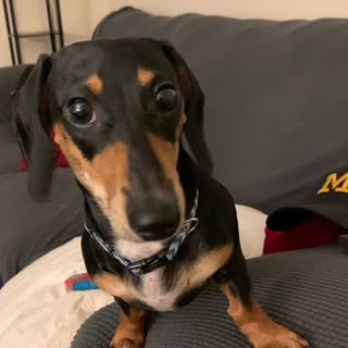 Profile Picture of Scott Flores (@scott.flores) on Instagram