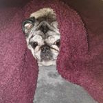 Profile Picture of Douglas (@douglas.steele_) on Instagram