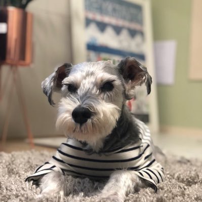 Profile Picture of SangCheol Kim (@Coach_Fly) on Twitter