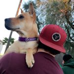 Profile Picture of Jimmy Renner (@jimmyjazzz) on Instagram