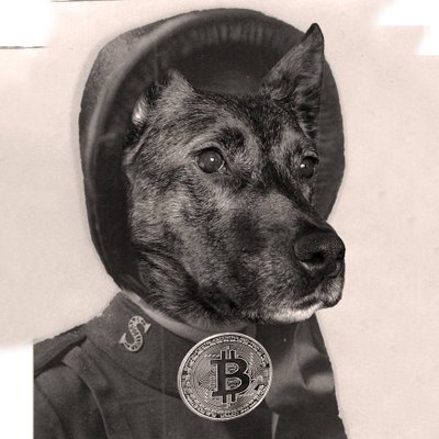 Profile Picture of Jean-Pascal Comeau ⚡️ (@jeanpascalkomo) on Twitter