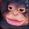 Profile Picture of Patrick Stemper (@thefatcat80058823005) on Tiktok