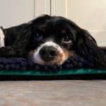 Profile Picture of Lisa Rushton (@lisa.rushton) on Instagram