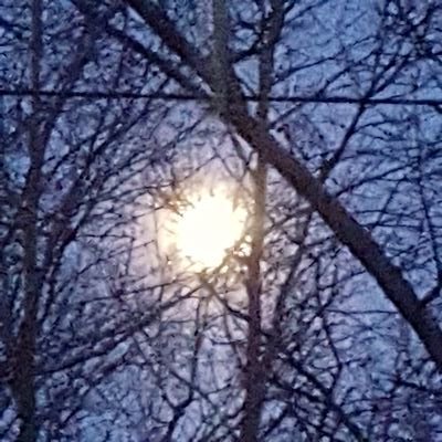 Profile Picture of Anthony Dalessio (@AnthonyDalessi8) on Twitter