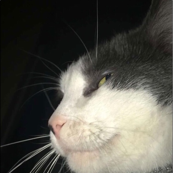 Paige Mullins - Poshmark Profile Picture of Paige Mullins (@paigemullins101) on Poshmark