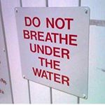 Profile Picture of NewGuitarWhoDis (@david_steinberger) on Instagram