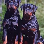 John Motloung - Instagram Profile Picture of John Motloung (@motloungjohn) on Instagram