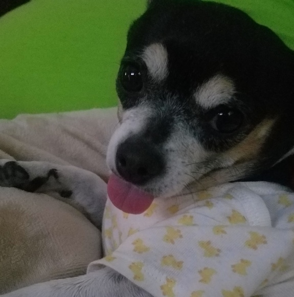 Profile Picture of James Elkins (@loandoc) on Poshmark